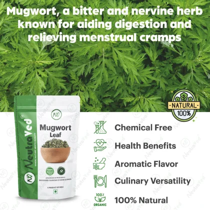 Mugwort Leaves image 6